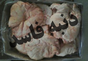 کشف بیش از نیم تن دنبه فاسد در گلستان