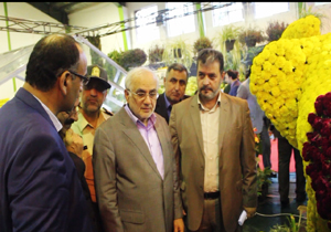 مازندران از استان‌های پیشرو در تولید گل و گیاه زینتی