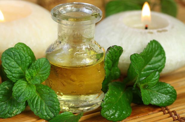 1-روغن نعناع؛ دارویی بی نظیر برای زیبایی و تقویت موهایتان2-با خوش بو ترین روغن گیاهی زیبایی را به موهایتان بازگردانید