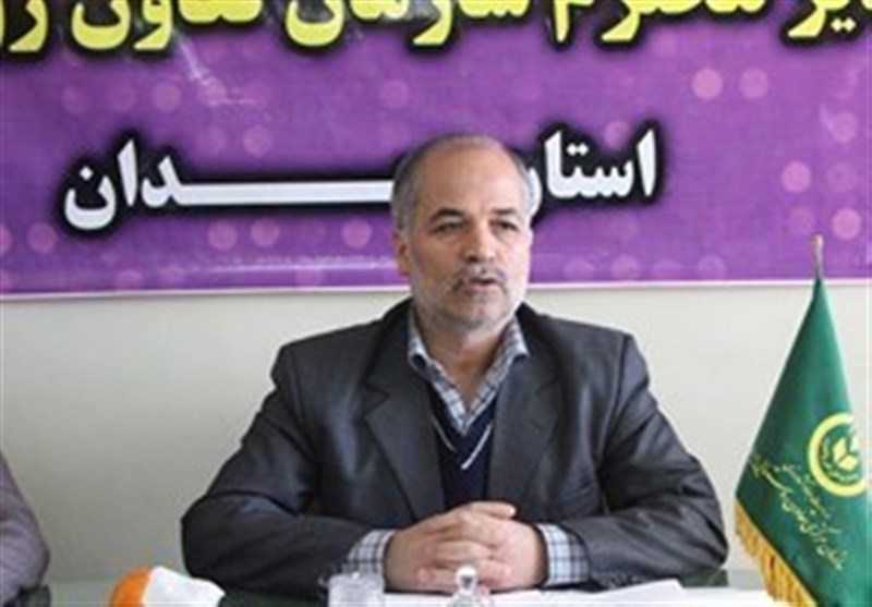 فعالیت 260 تشکل کشاورزی در استان همدان