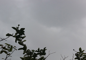 احتمال وقوع آبگرفتگی و رخداد سیل