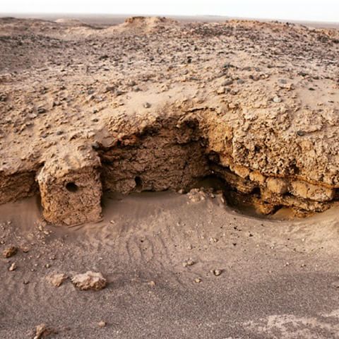 رد پای 9 هزار ساله تاریخ در دارستان بم