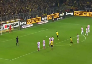 برد قاطع زنبورها مقابل کلن + فیلم