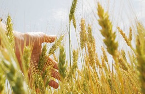 تبلیغ و ترویج فریضه واجب زکات
