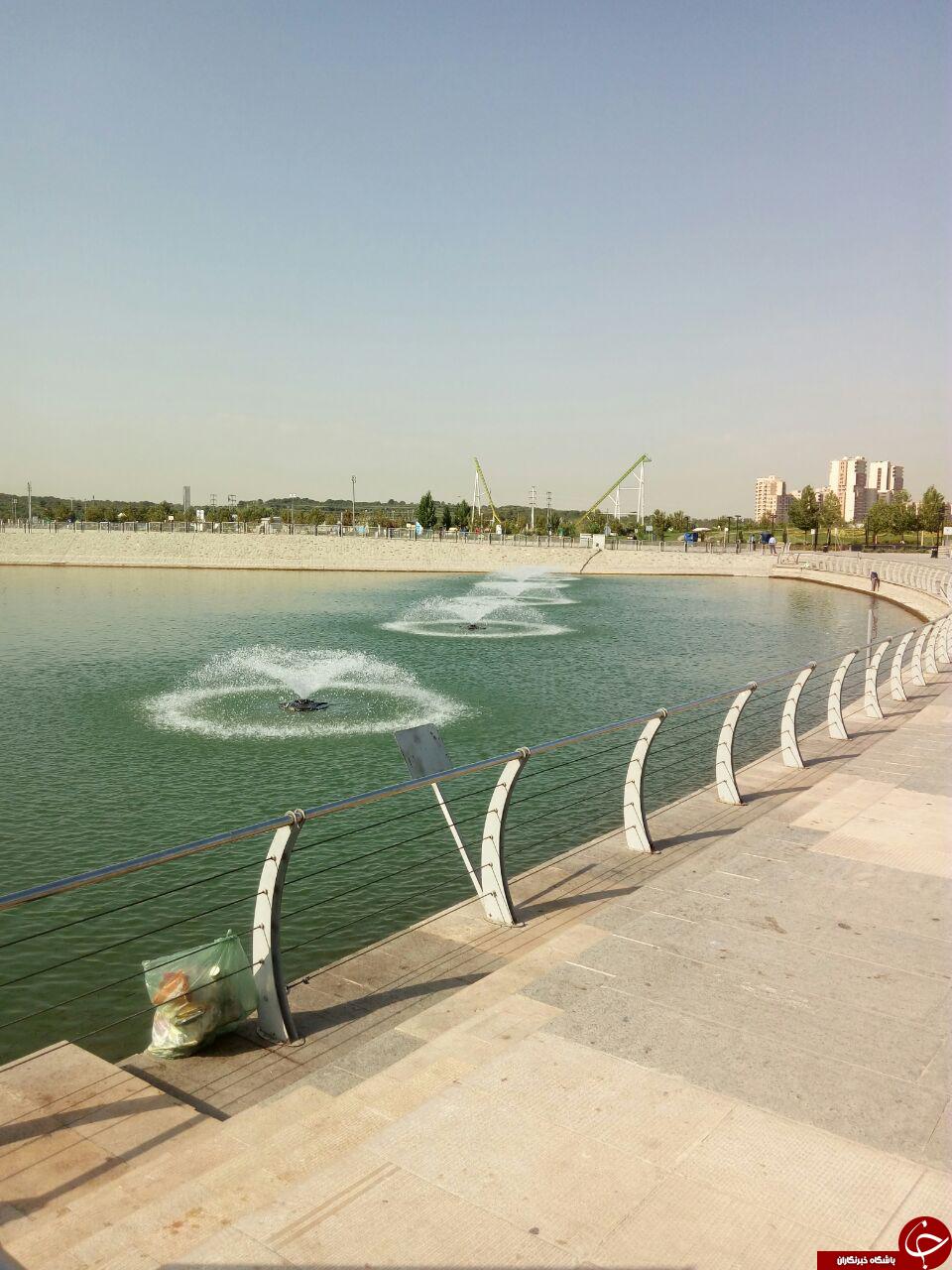 نمایی از دریاچه زیبای شهدای خلیج&zwnj; فارس + تصاویر