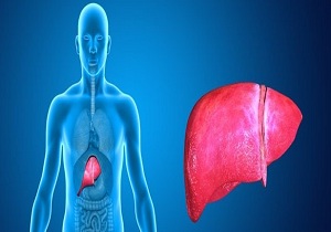 درخشش کاریکاتوریست کرمانشاهی در همایش بین‌المللی هپاتیت