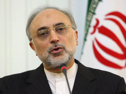 صالحی: تمام فعالیت&zwnj;های ایران در نیروگاه بوشهر تحت نظارت بازرسان آژانس است