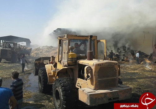 آتش سوزی انبار علوفه در آبیک
