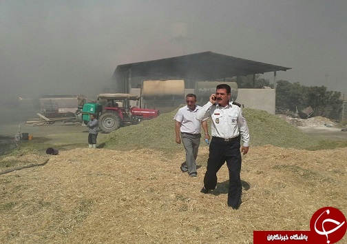آتش سوزی انبار علوفه در آبیک