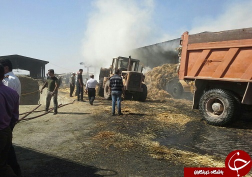 آتش سوزی انبار علوفه در آبیک