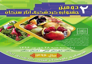 مردم خاش آماده برپایی دومین جشنواره انار سنگان