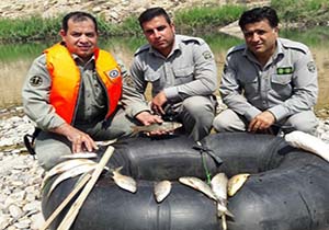 دستگیری صیادان غیر مجاز در رومشکان