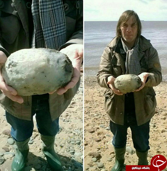 عنبر سائل، گرانترین ماده در صنعت عطرسازی! +عکس