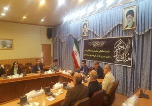 سازمان‌های مردم نهاد در حوزه پشتیبانی از مدافعان حرم نیز فعالیت کنند
