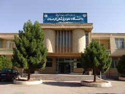 تجمیع امور بیمه ای دانشگاه های علوم پزشکی منطقه 8 کشور