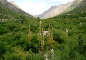 طبیعت زیبا و کوهستانی منگشت بهمئی + تصاویر