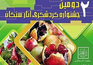 برداشت سالانه 6 هزار تن انار از باغات شهرستان خاش