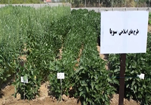 از بازسازی مناطق محروم یزد تا کاهش چشمگیر کتابخوانی در میان مردم+ فیلم
