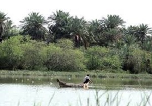 بازدید رئیس اداره میراث فرهنگی، صنایع دستی و گردشگری آبادان و خرمشهر از جزیره شادمانی