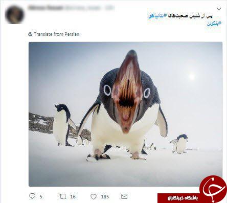 پاسخ جالب کاربران به یاوه گویی های نتانیاهو