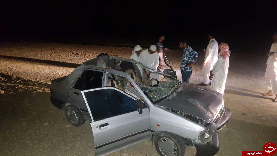 تصادف پراید با شتر در جاده جاسک + تصاویر