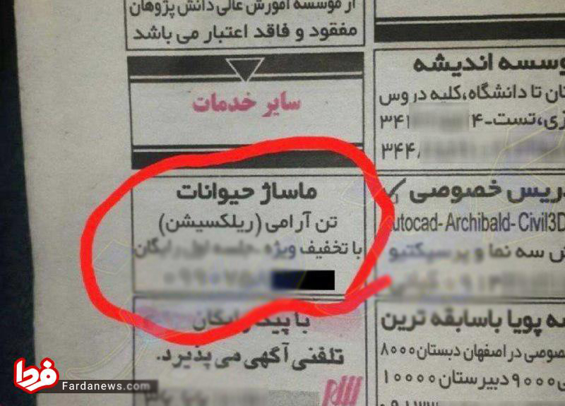 آگهی عجیب برای ماساژ حیوانات خانگی!+عکس