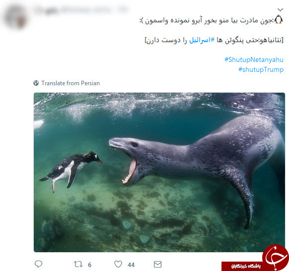 واکنش پنگوئن ها به اظهارات نتانیاهو! + فیلم و تصاویر