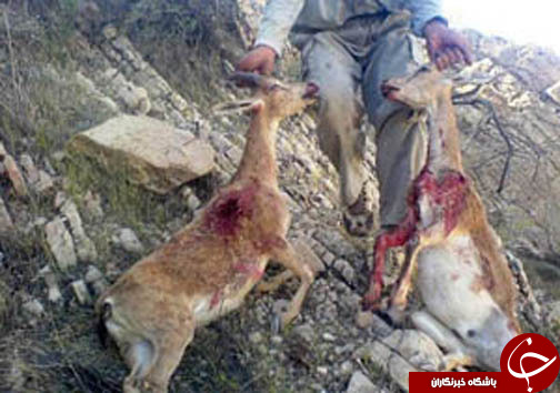 نگاهی گذرا به مهمترین رویداد&zwnj;های ۲۹ شهریور در مازندران