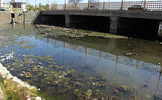 فاجعه زیست محیطی در دابودشت + فیلم