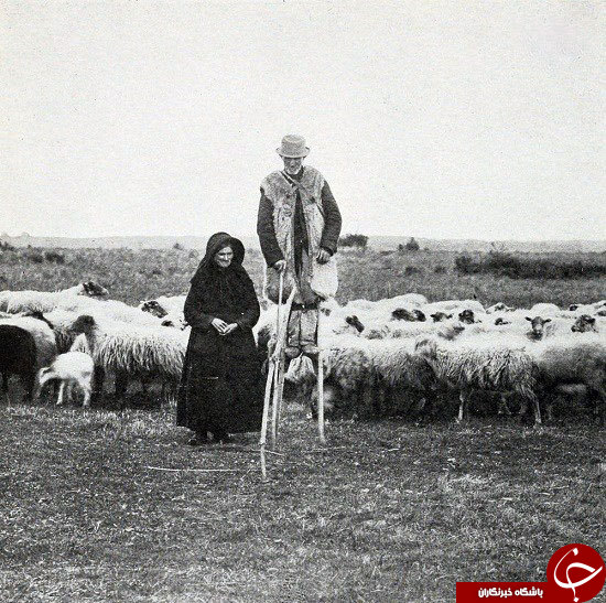 روش جالب چوپان های قرن نوزدهم فرانسه+تصاویر