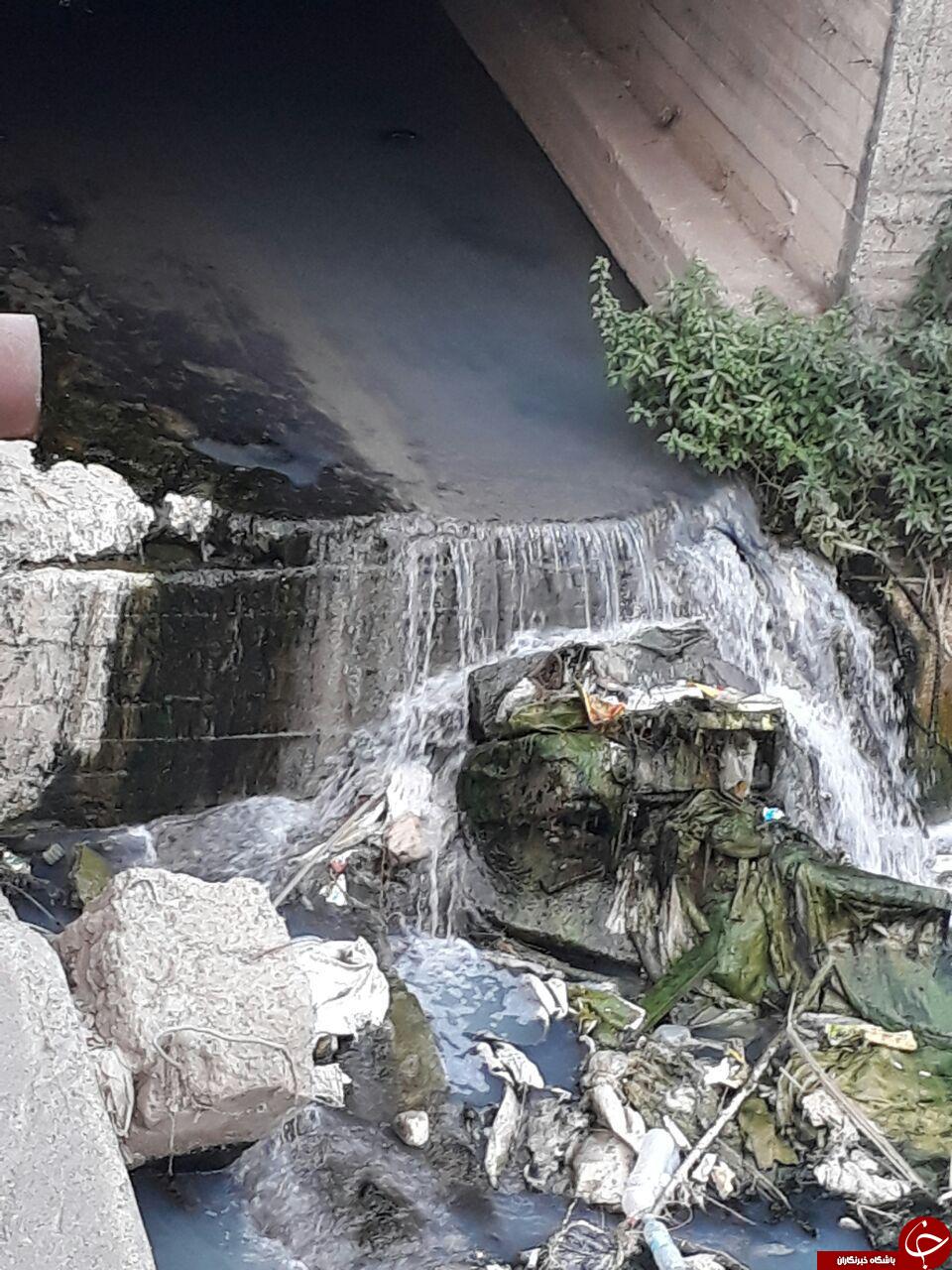 انباشت زباله در دهانه رودخانه آهومحله + تصاویر