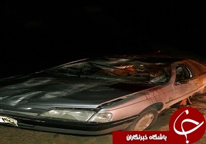 5 مصدوم در برخورد با شتر
