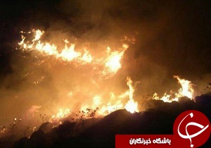 آتش در مراتع طارم سفلا مهار شد