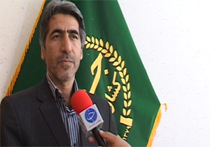 وجود ۲۸۸ واحد دامداری گاو شیری در لرستان