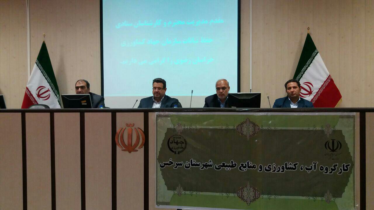 سرخس شهری پایه گذار در عرصه دامداری و کشاورزی است