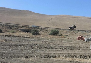 کشف و ضبط 4 قطعه کبوتر چاهی در شهرستان گرمی