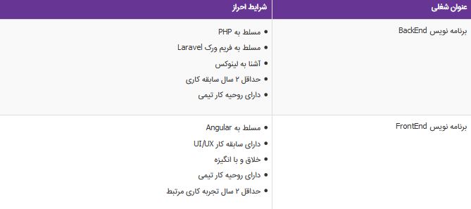 استخدام برنامه نویس