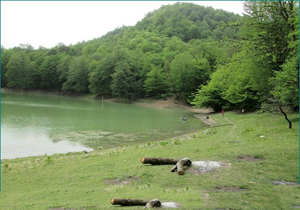 خنک شدن هوای مازندران از سومین روز پاییز