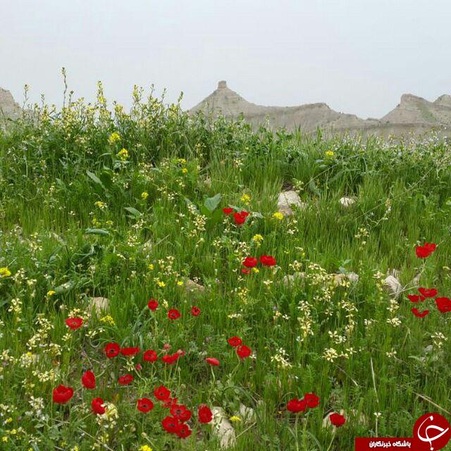 نمایی زیبا از روستای تاریخی شاوله + تصاویر