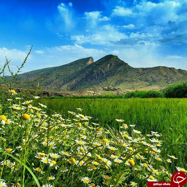 چشم&zwnj;اندازی از طبیعت بکر و دوست&zwnj;داشتنی در دیره + تصاویر