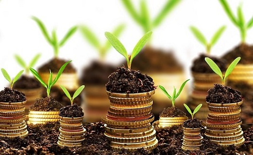 کاغذ بازی بلای جان شرکت&zwnj;های دانش بنیان/بیش از ۶ ماه دوندگی برای یک مجوز، معاونت علمی پاسخگو باشد