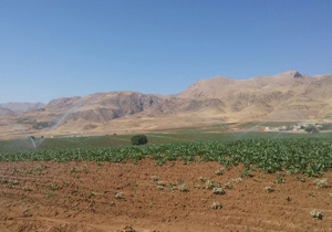 افتتاح طرح آبیاری نوین در مزارع رستم آباد اردل