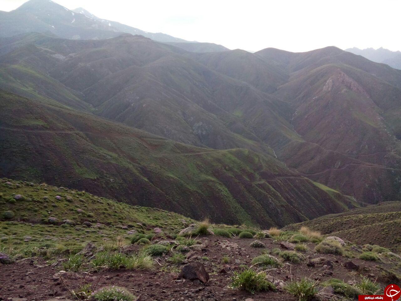 طبیعت بکر و زیبای ارتفاعات کوه اورین + تصاویر