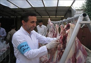 دامهای نذری عید قربان معاینه بالینی رایگان می شوند