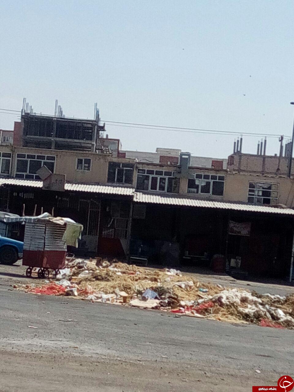 وضعیت بهداشتی میدان میوه و تره&zwnj;بار ایلام نامناسب است + تصاویر