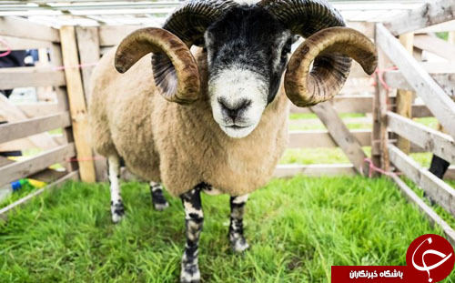 تصاویر روز: از رستورانی در میان رودخانه تا اتحاد مسیحیان و مسلمانان اسپانیا علیه تروریسم