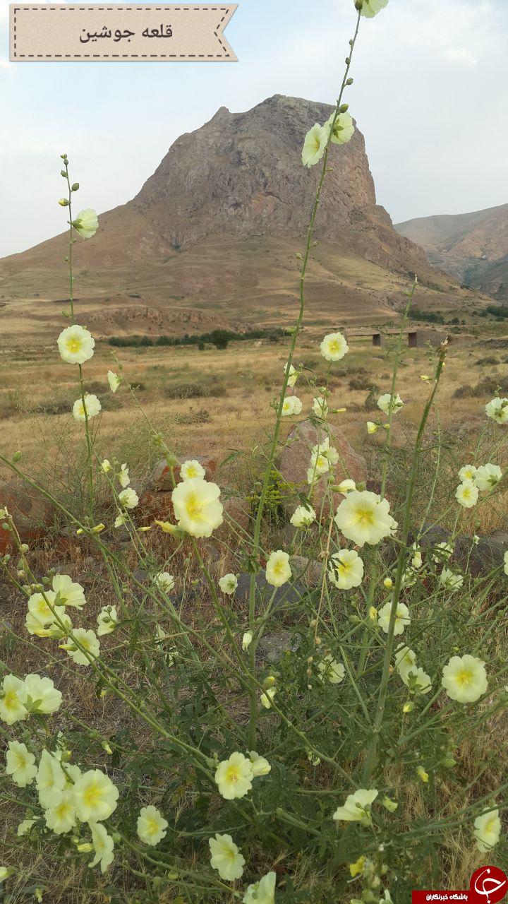 طبیعت زیبا و بکر قلعه جوشین در ورزقان + تصاویر