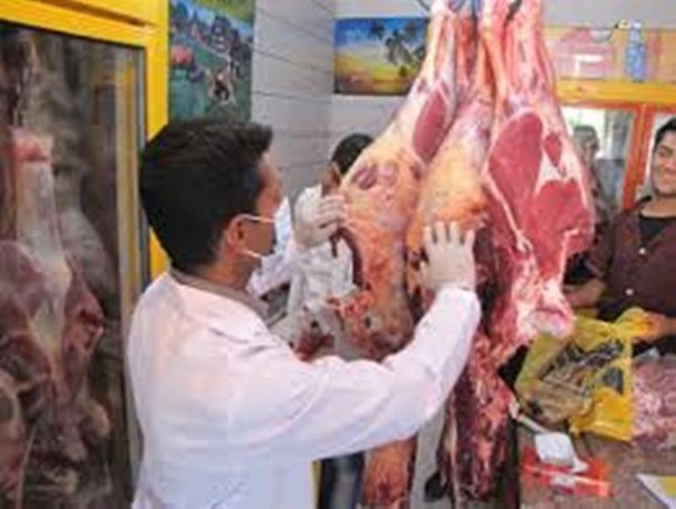 نظارت بهداشتی و شرعی بر دام‌های قربانی در رابر