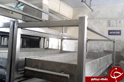 خورده شدن اعضای بدن یک زن در سردخانه بیمارستانی در هند + عکس
