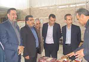 بازدید دادستان خرم آباد از شهرک‌های صنعتی شماره ۲ خرم آباد